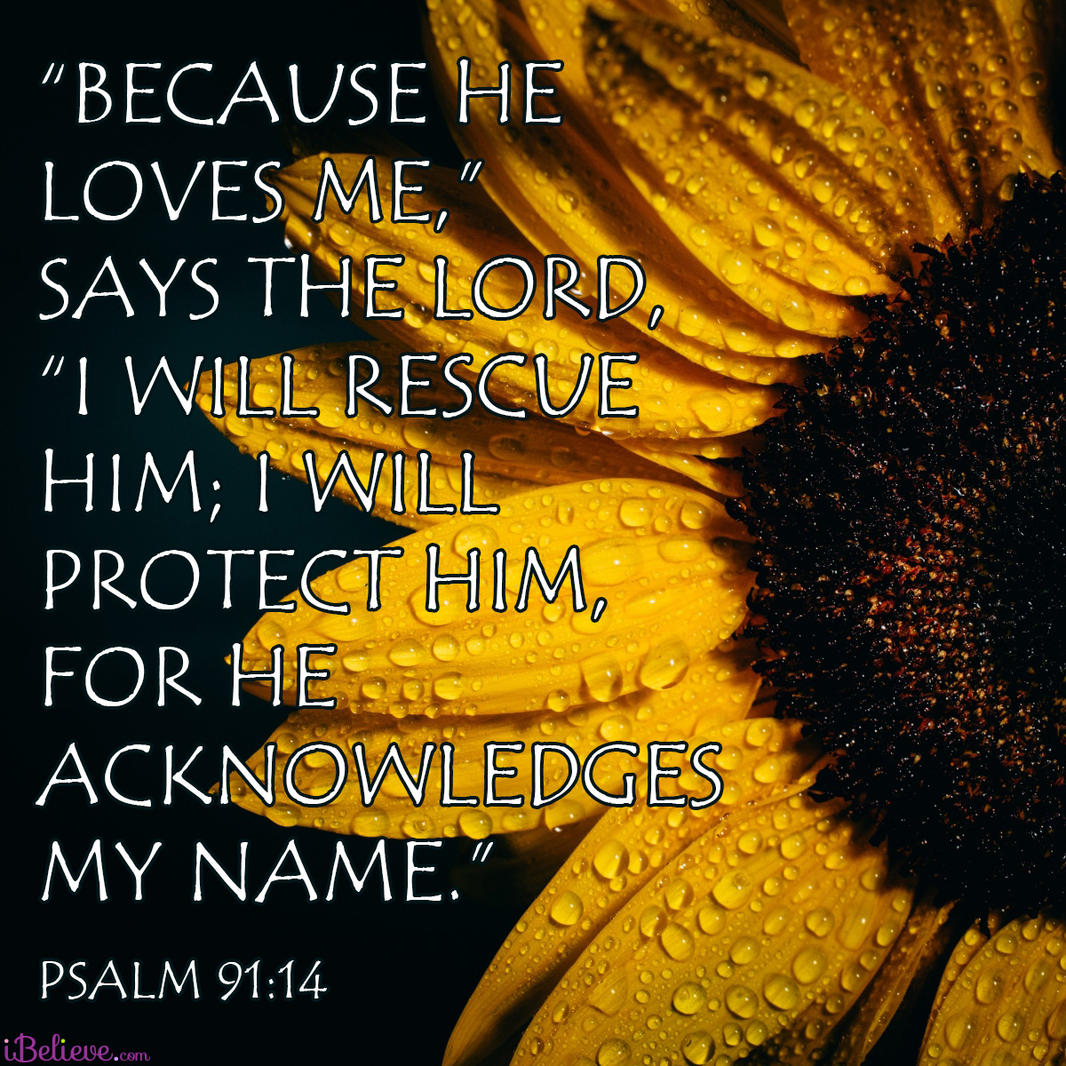 Psalm 91:14, inspirational image