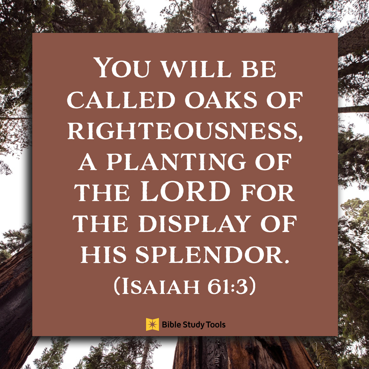 Isaiah 61:3, inspirational image
