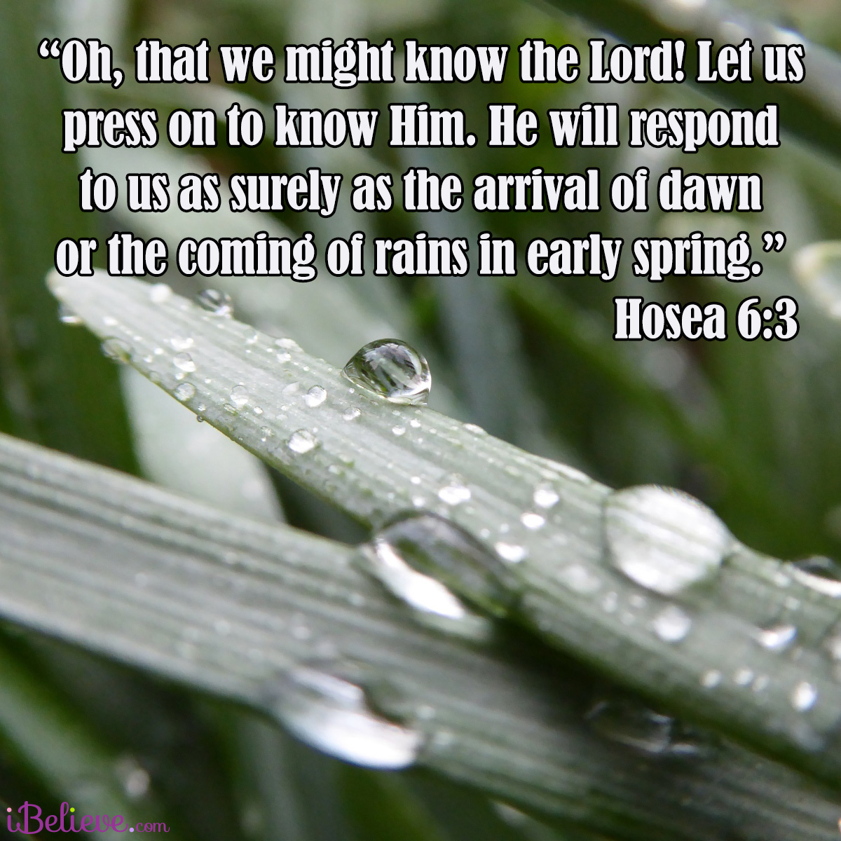 Hosea 6:3, inspirational image