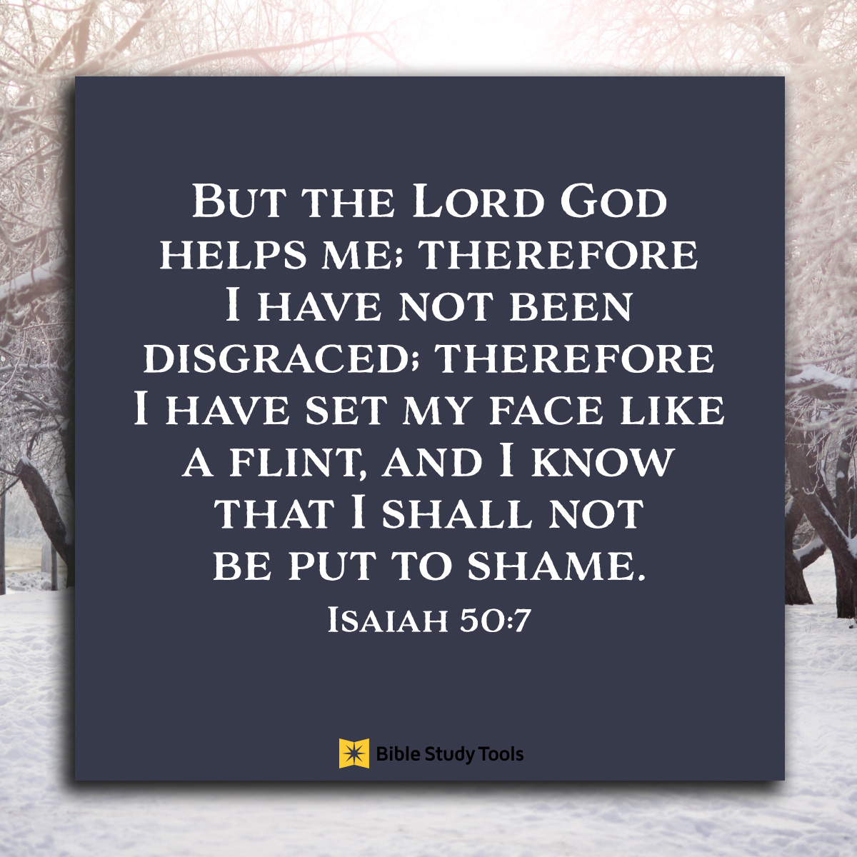 Shame On Me Not Anymore Isaiah 50 7 Your Daily Bible Verse 