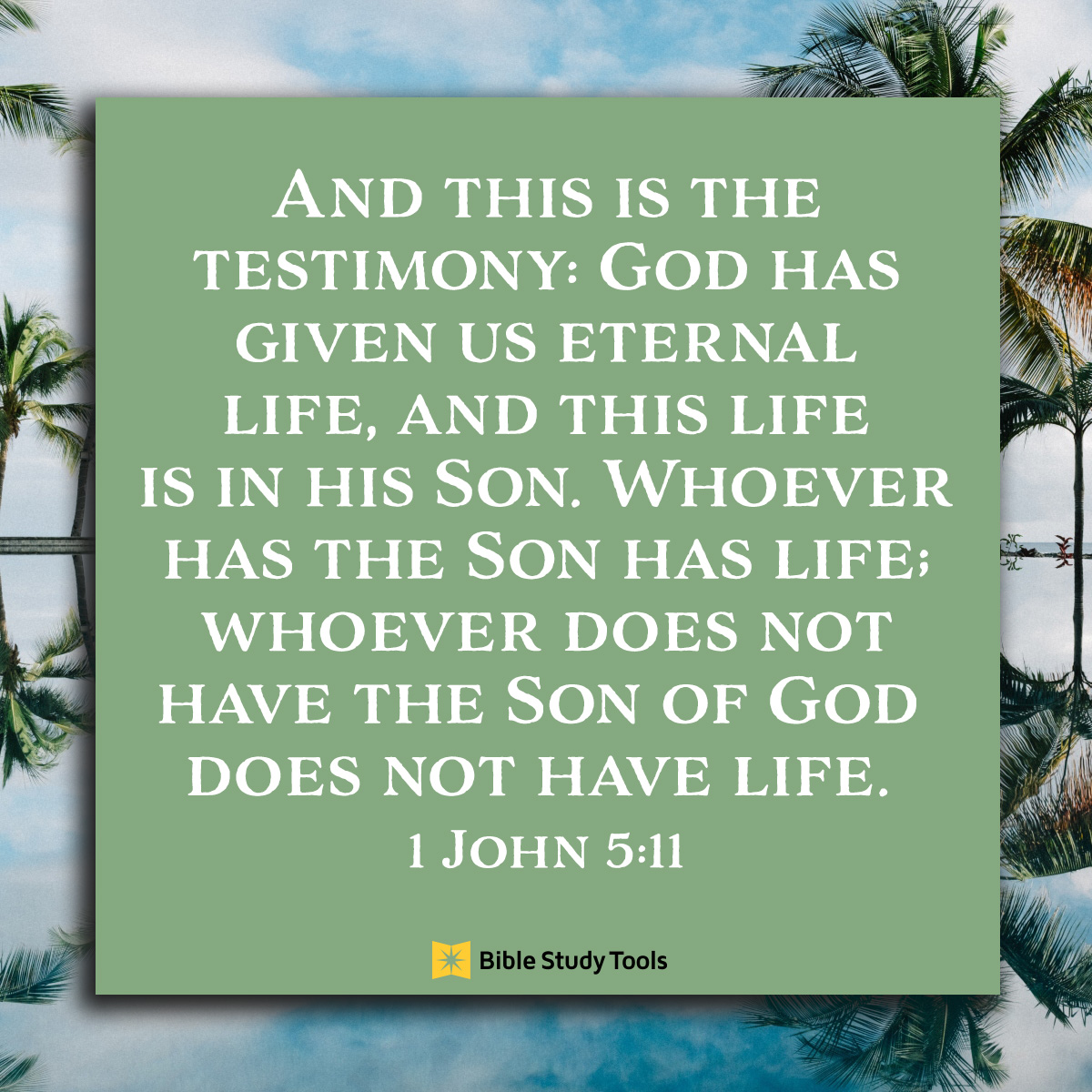 1 John 5:11, inspirational image
