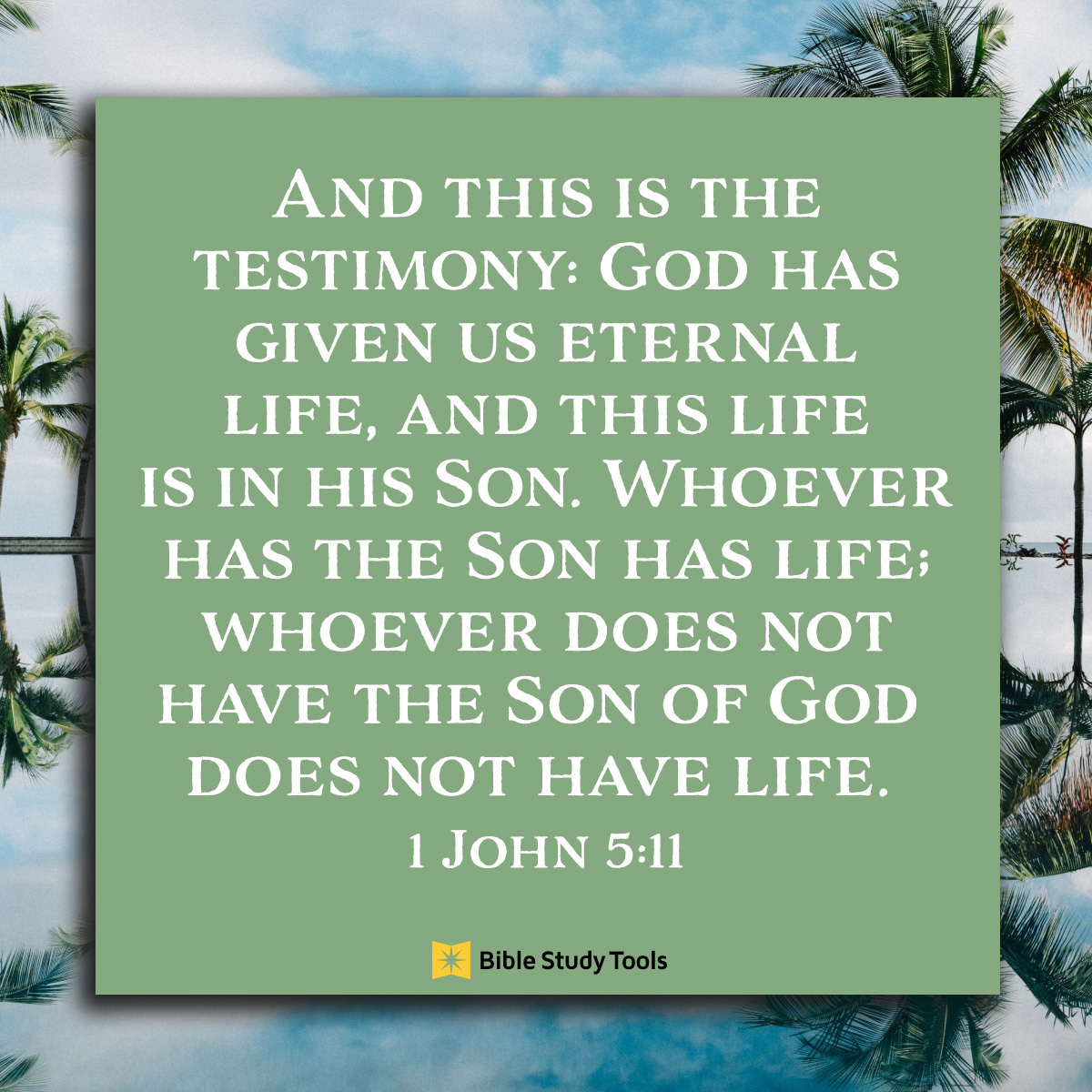 A Love Letter From God 1 John 5 11 Your Daily Bible Verse August 