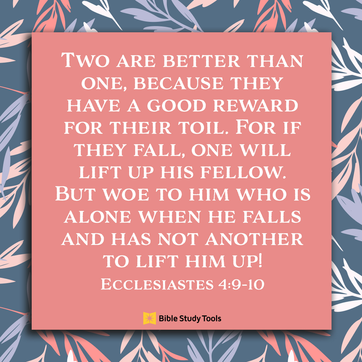 Eccl 4:9-10, inspirational image