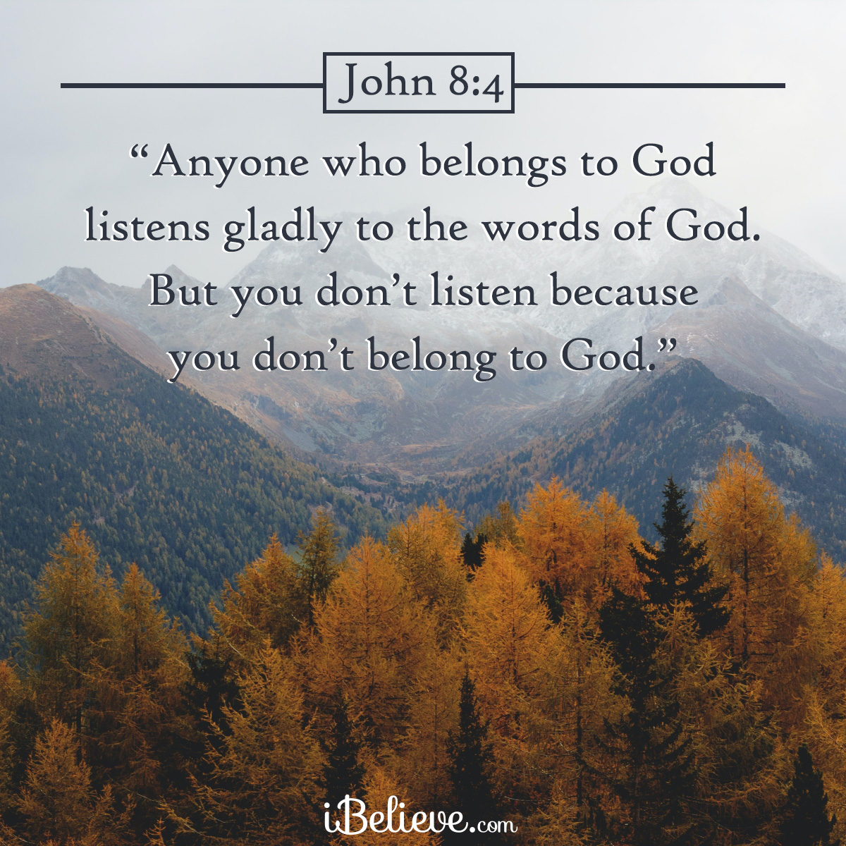 John 8:4, inspirational image