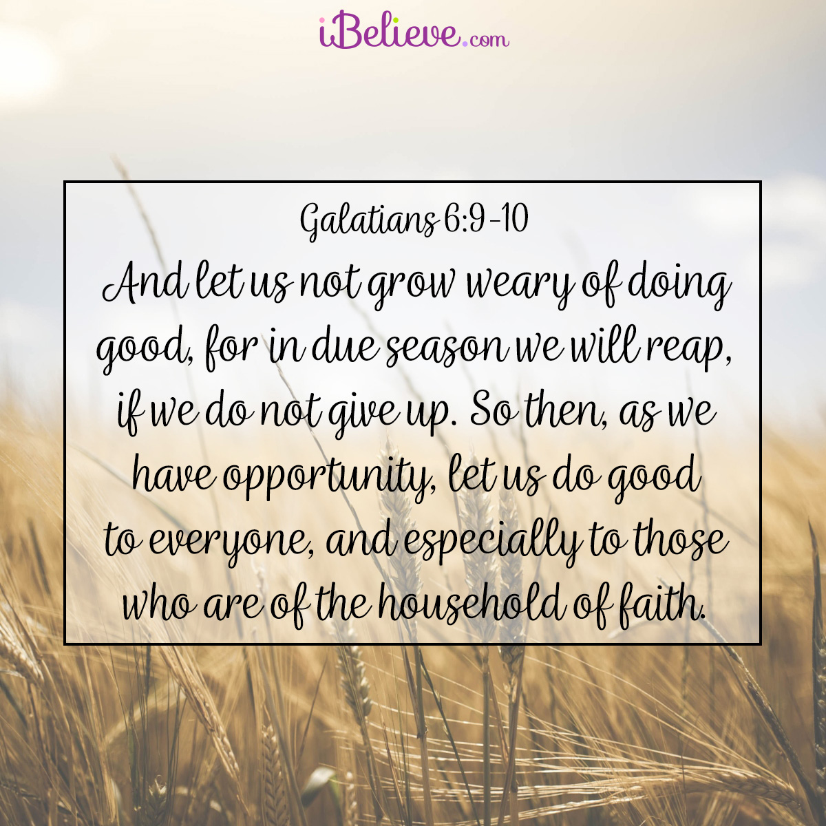 Galatians 6:9-10-sq