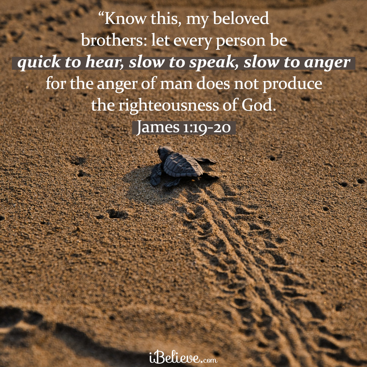 James 1:19-20, inspirational image