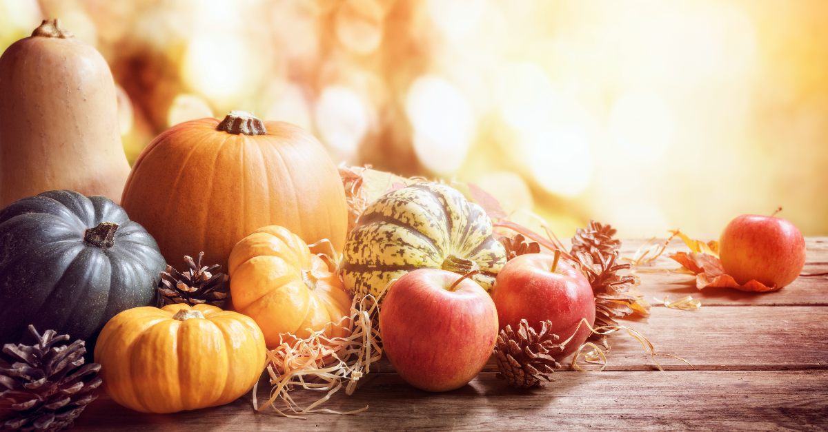 Gourds and pumpkins on a Thanksgiving table