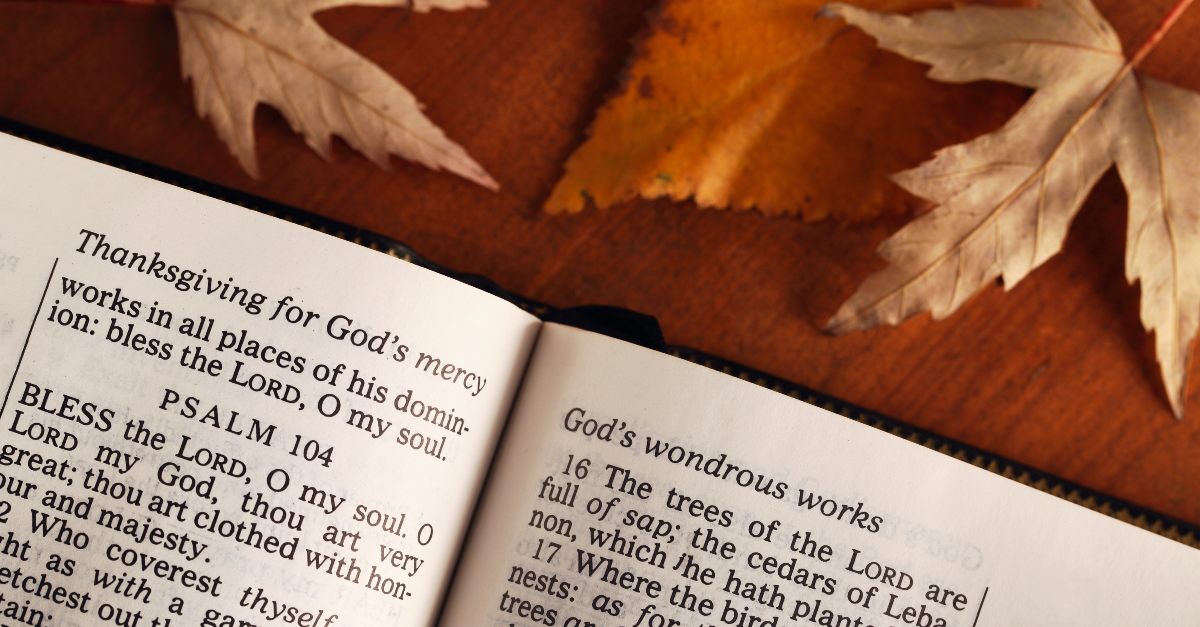 Book of Psalms opened with fall leaves surrounding the Bible