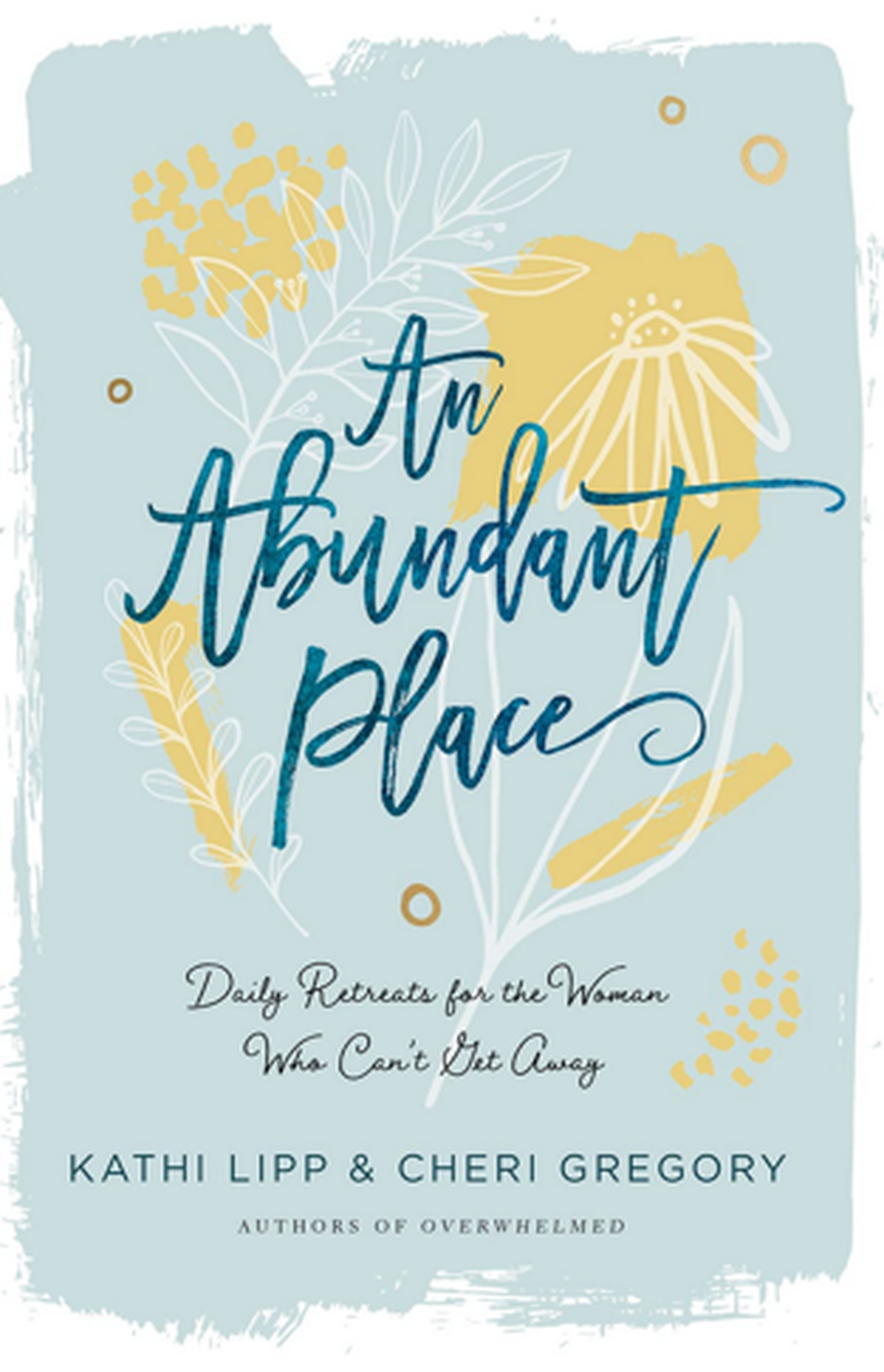 the abundant place book cover