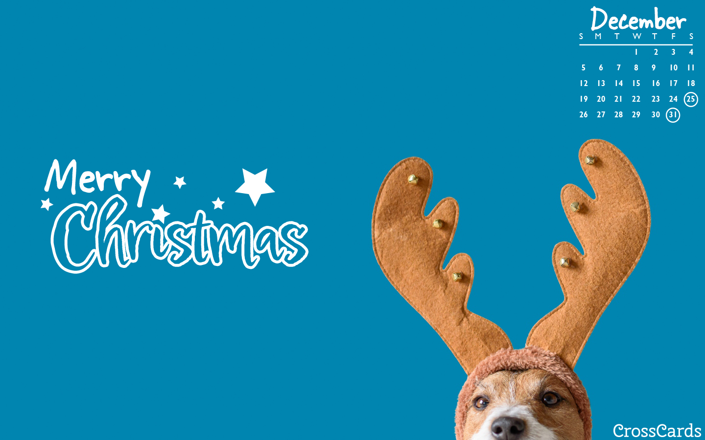 December 2021 - Christmas Dog mobile phone wallpaper
