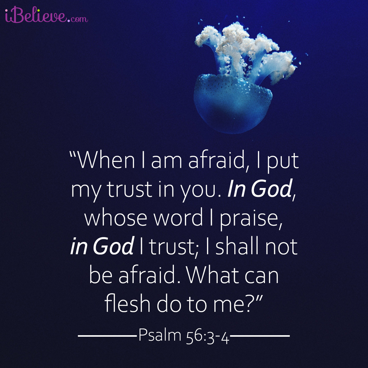 Psalm 56:3-4, inspirational image