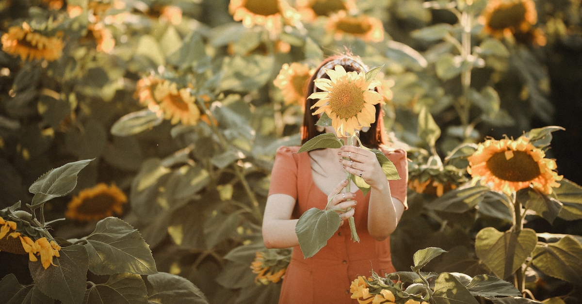 Woman standing in a field of sunflowers