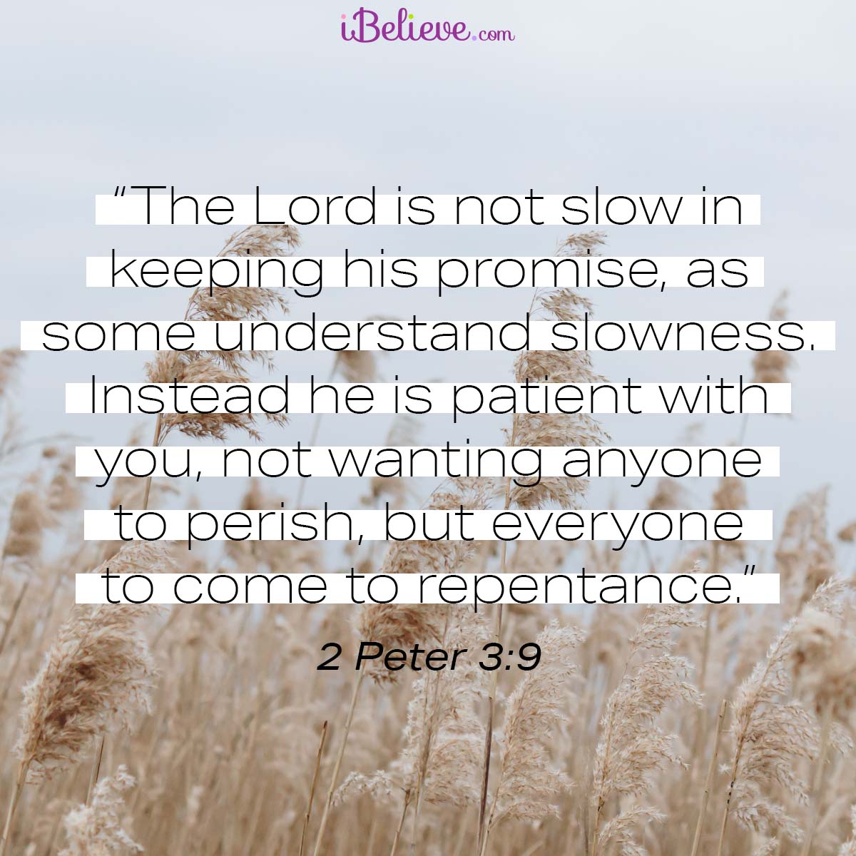 2 Peter 3:9, inspirational image