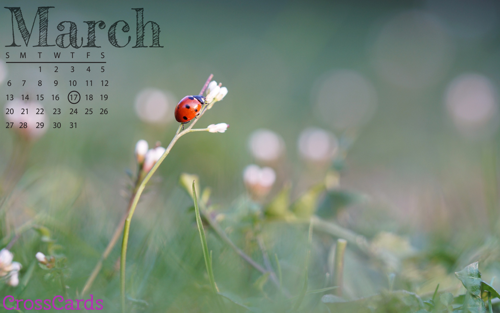 March 2022 Desktop Calendar March 2022 - Ladybug Desktop Calendar- Free March Wallpaper