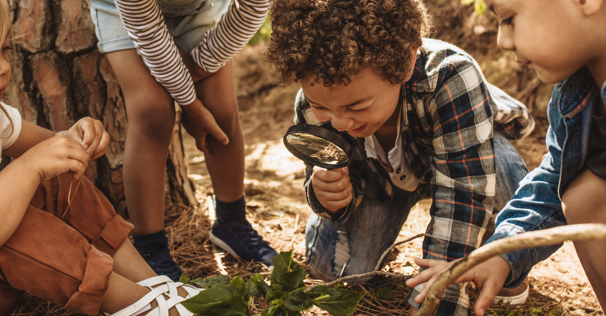 Kids outside exploring bugs