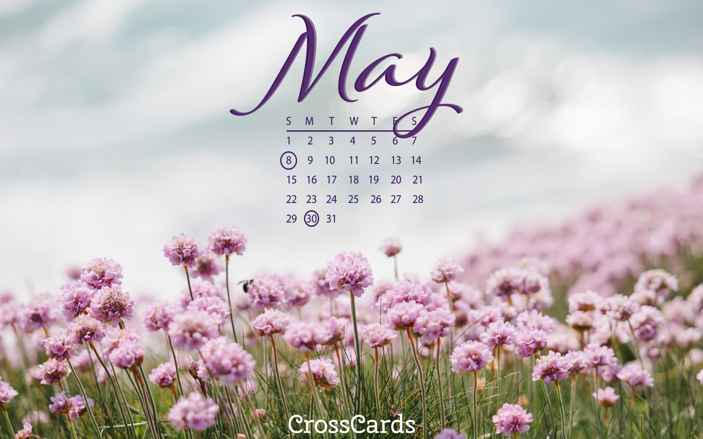 May 2022 - Flowering Field mobile phone wallpaper