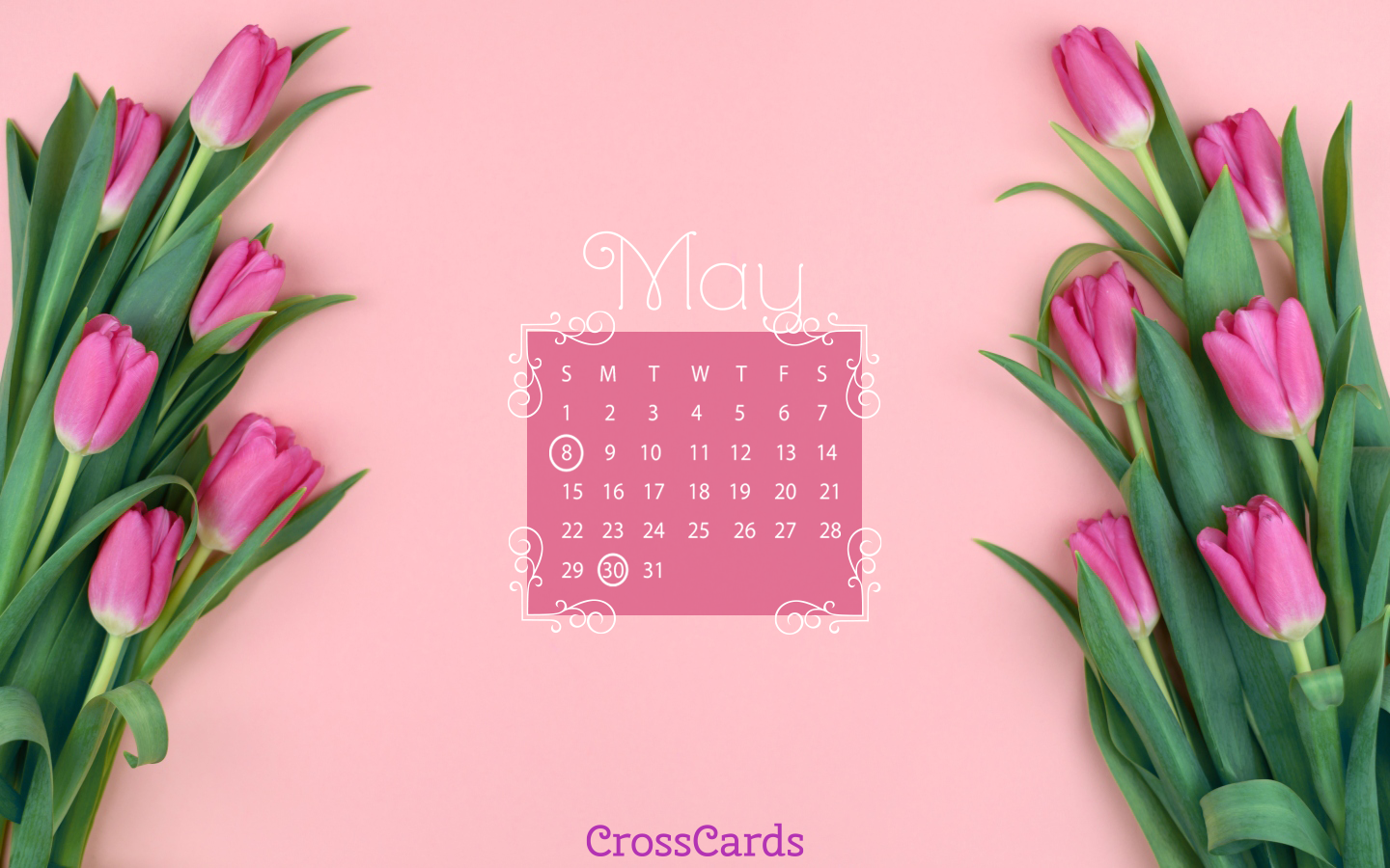 May 2022 - Tulips Desktop Calendar- Free May Wallpaper