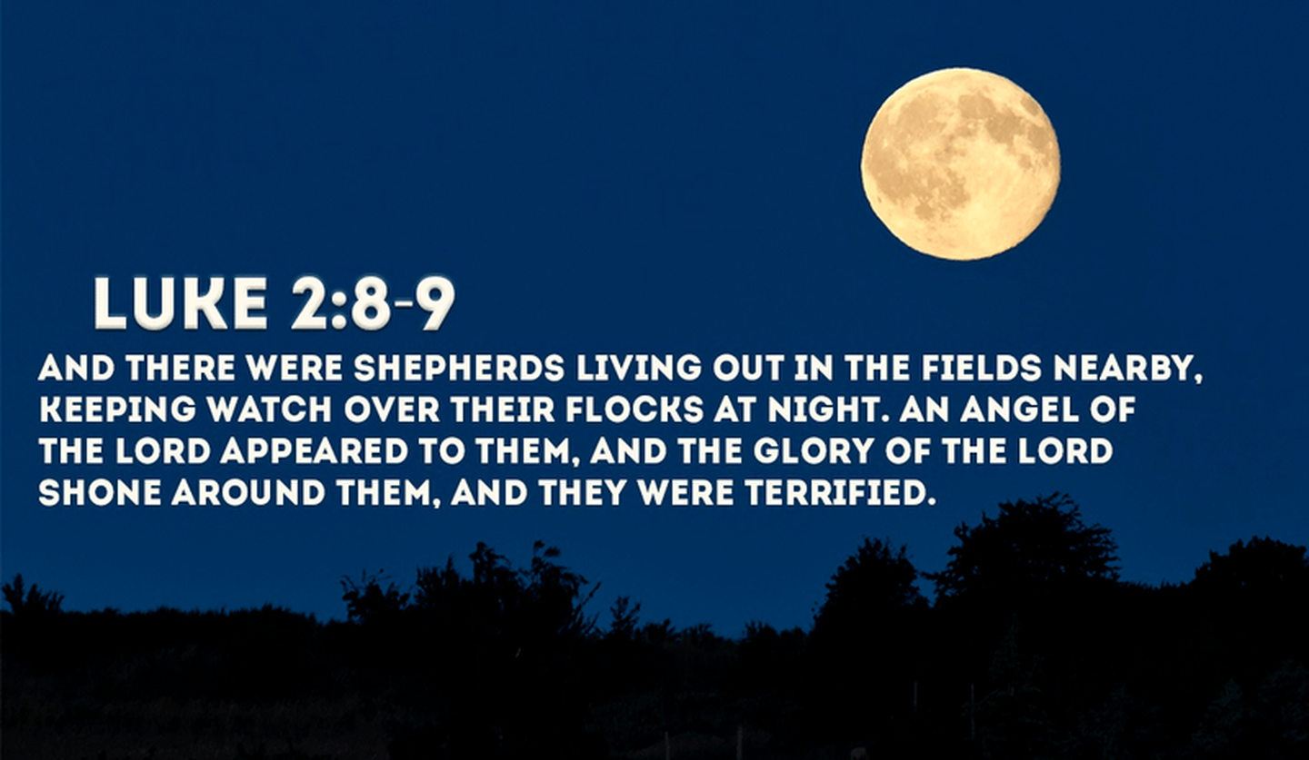 <strong>Day 16: An Advent Prayer for the “Shepherds” in Our Communities</strong>