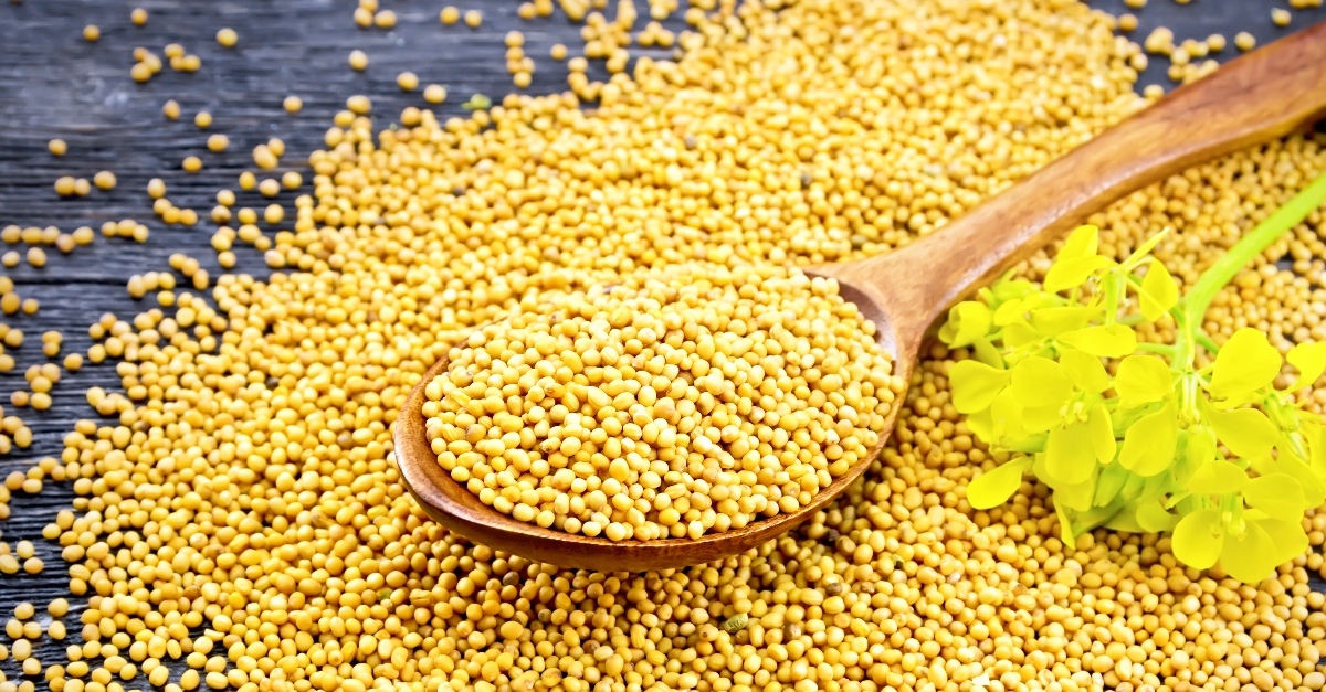 Mustard Seed Shortage