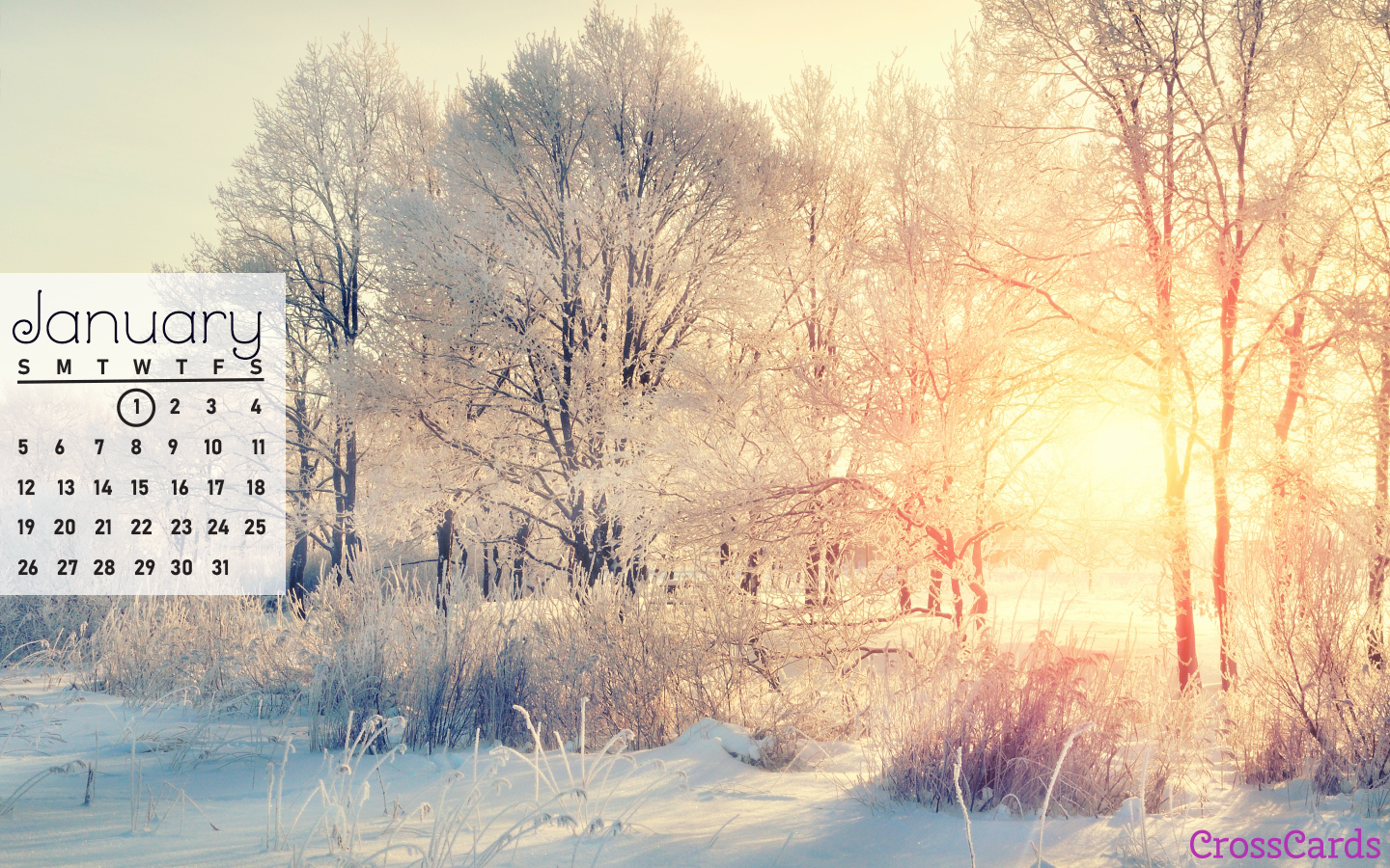 Beautiful January Desktop & Mobile Wallpaper - Free Backgrounds