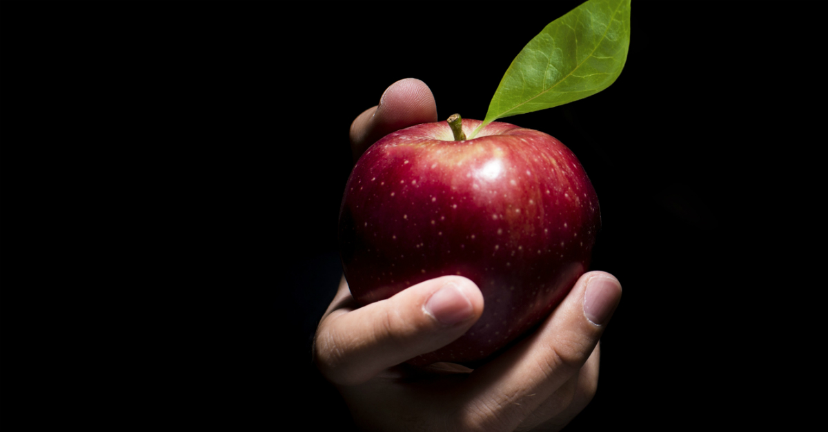 [Image: 6683-hand-offering-apple-out-of-dark-background-ge.jpg]