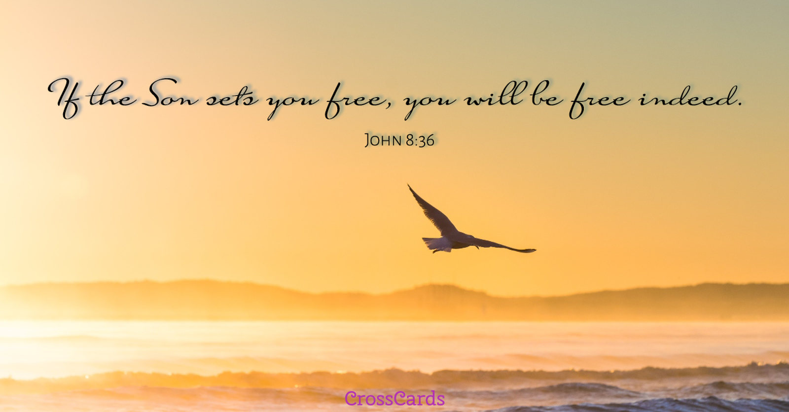 Who the Son Sets Free is Free Indeed - John 8:36 Meaning Explained