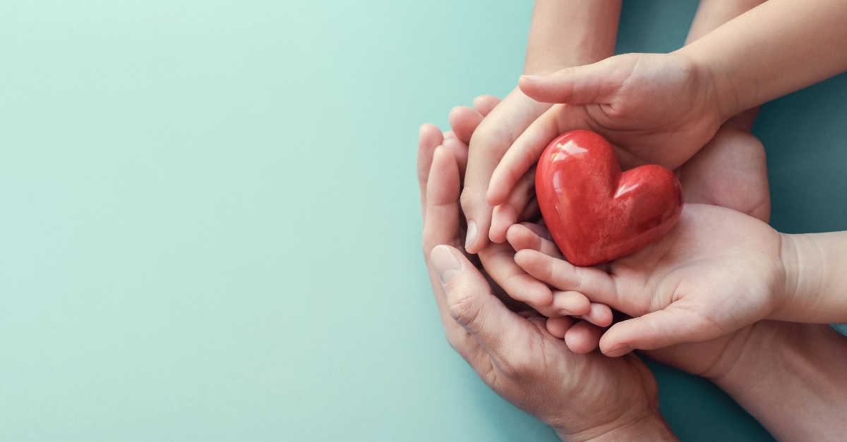 Group of hands holding a plastic heart