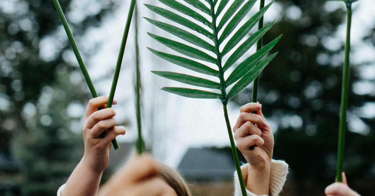 A Triumphant Prayer for Palm Sunday by Meg Bucher