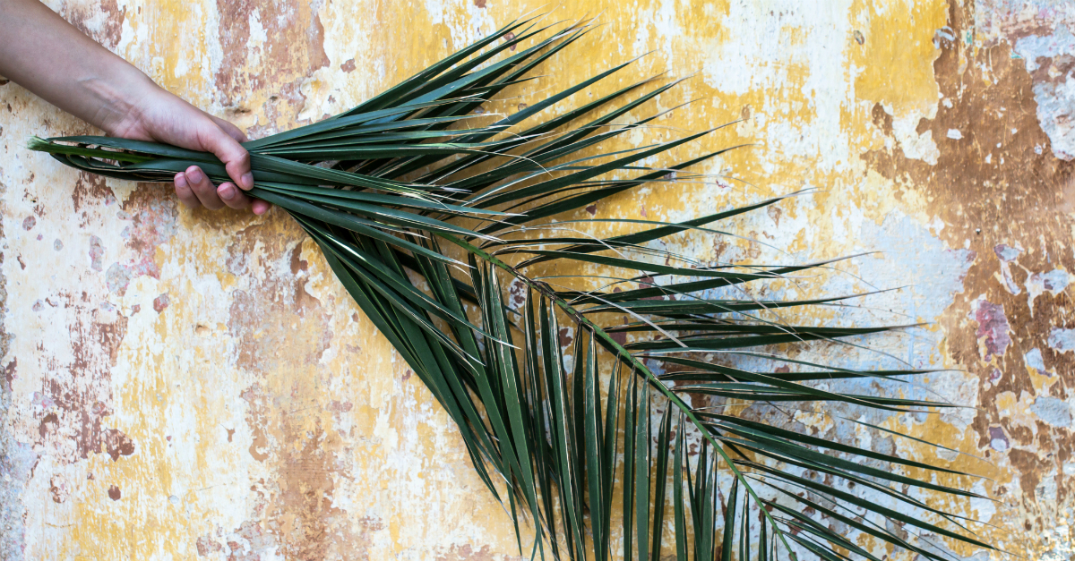 Where Is the Word Hosanna in Scripture?