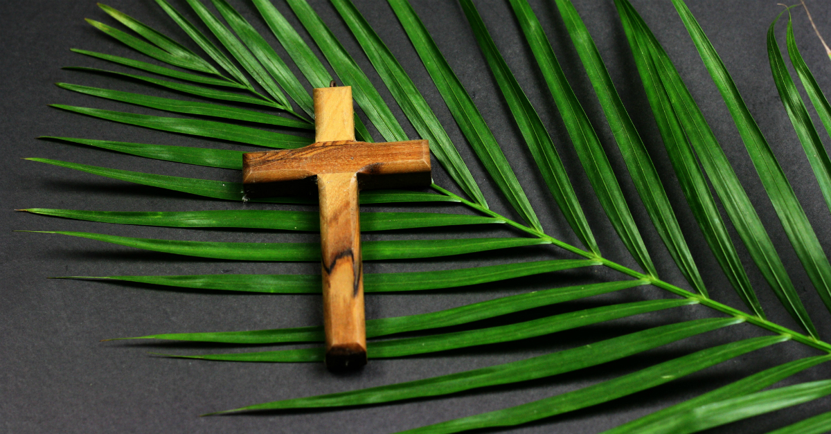 30 Palm Sunday Scripture 2023 - Palm Sunday Bible Verses Verses