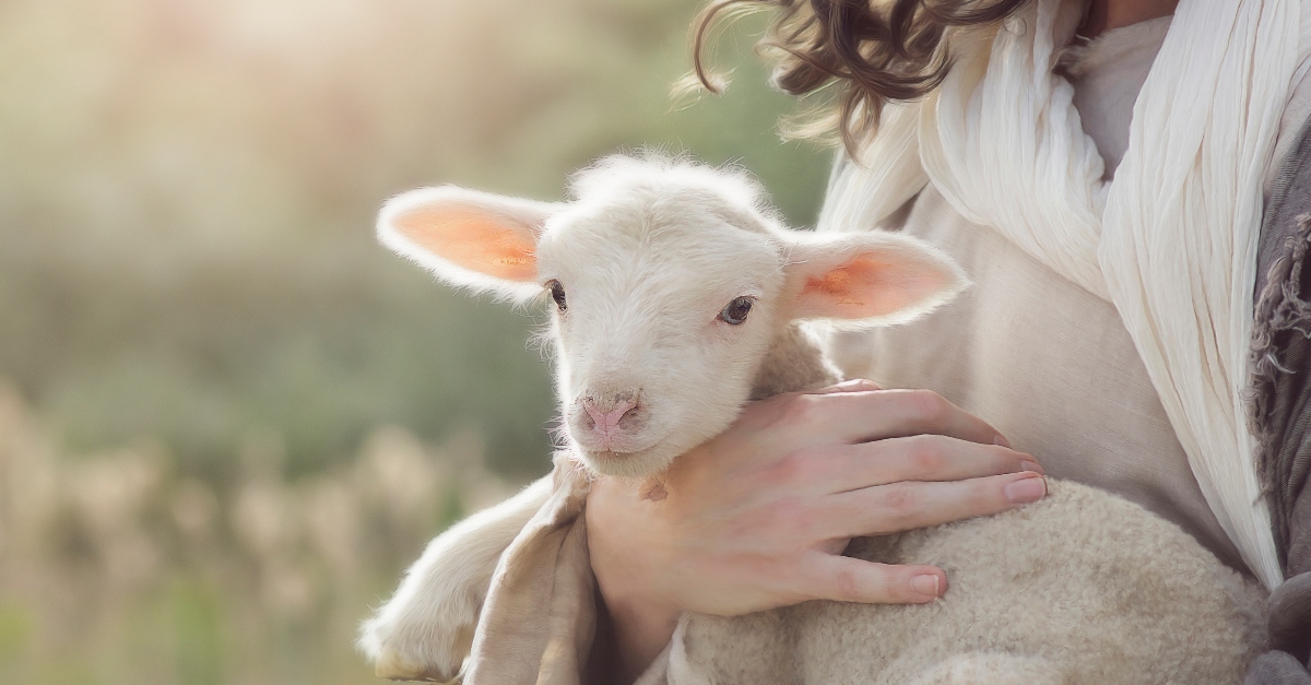 Jesus holding a lamb