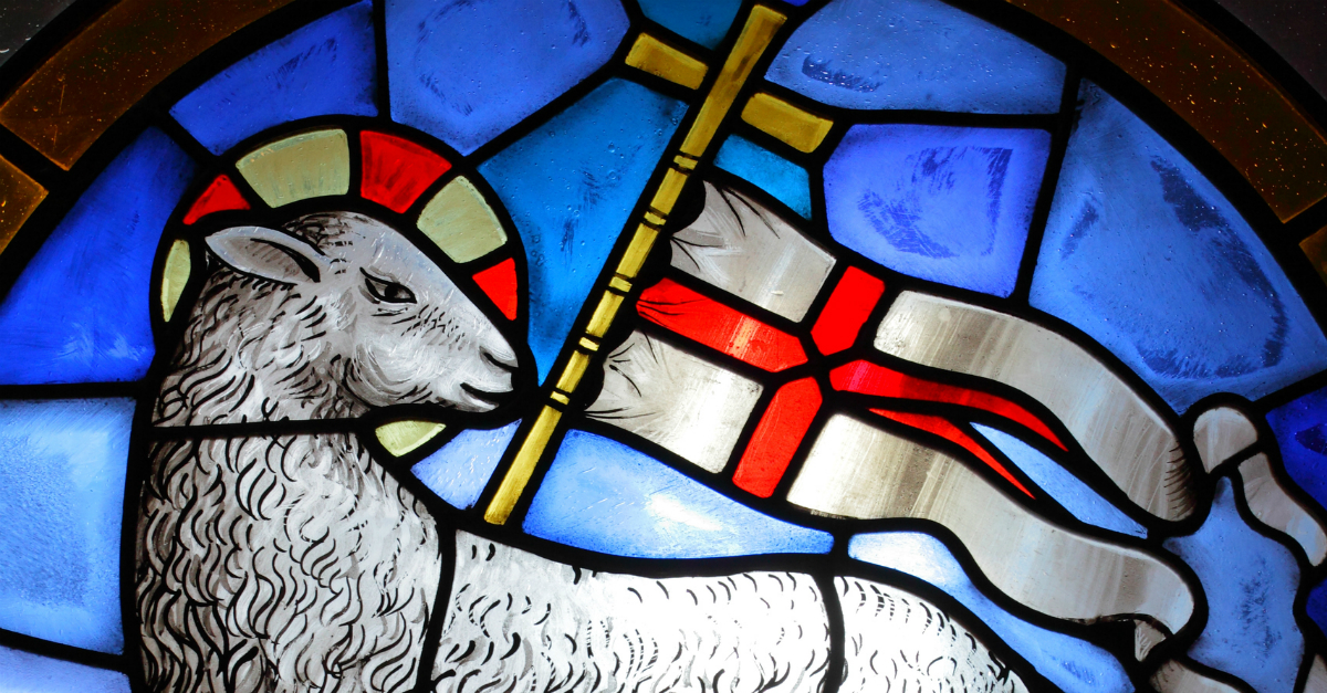 stained glass portrait for lamb and cross