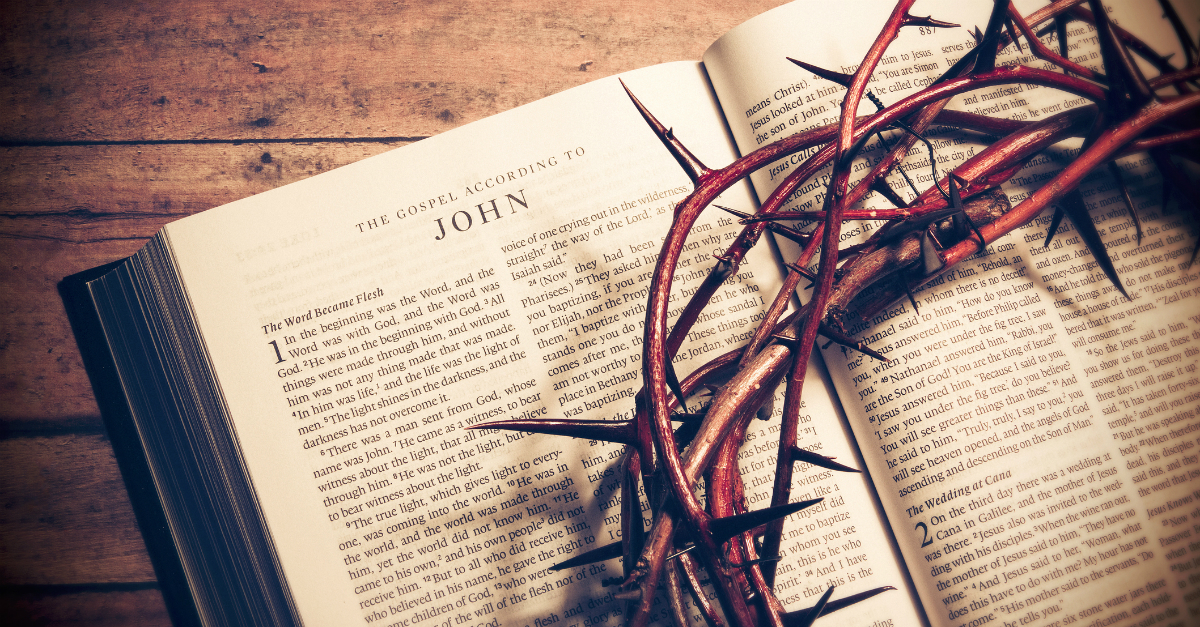 book of John I Am the Vine You Are the Branches John 15 5