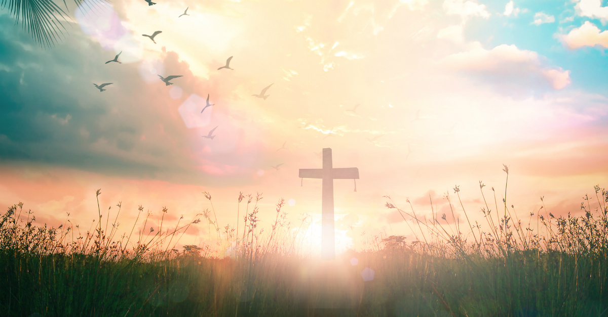 cross in a sunny field, easter greetings