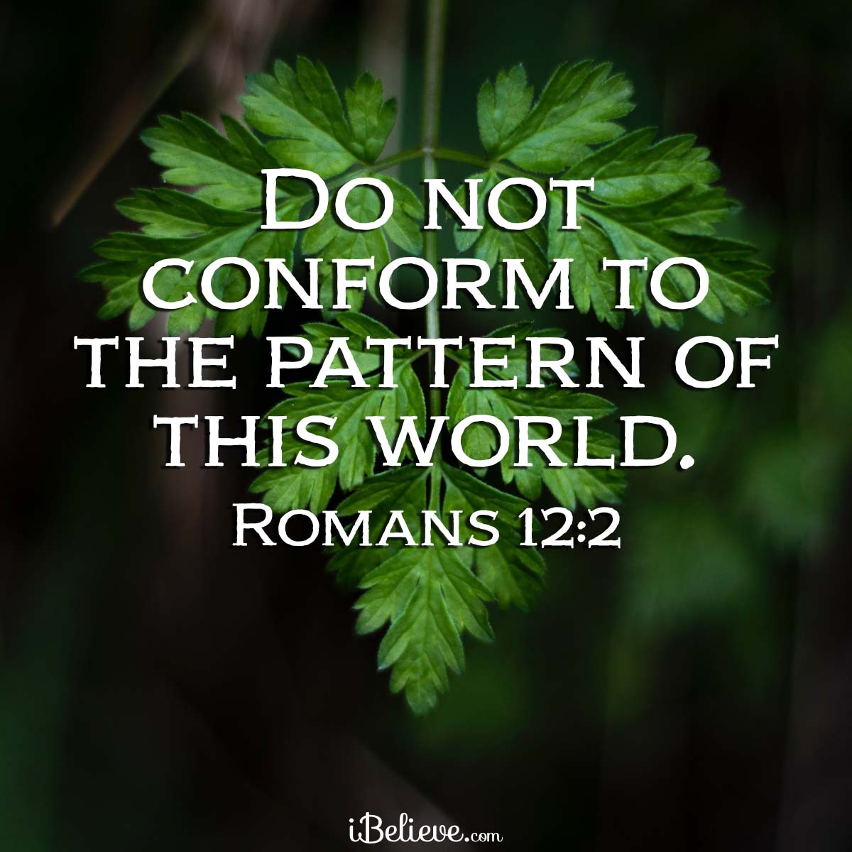 Romans 12:2, inspirational image