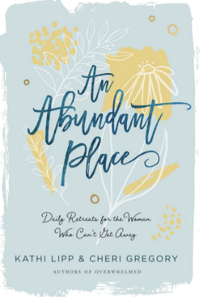 The Abundant Place book cover