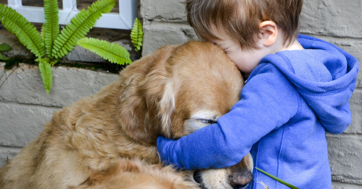 Boy and pet dog sad hug