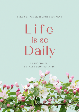 Life is so Daily book cover