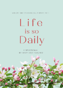 Life is So Daily book cover