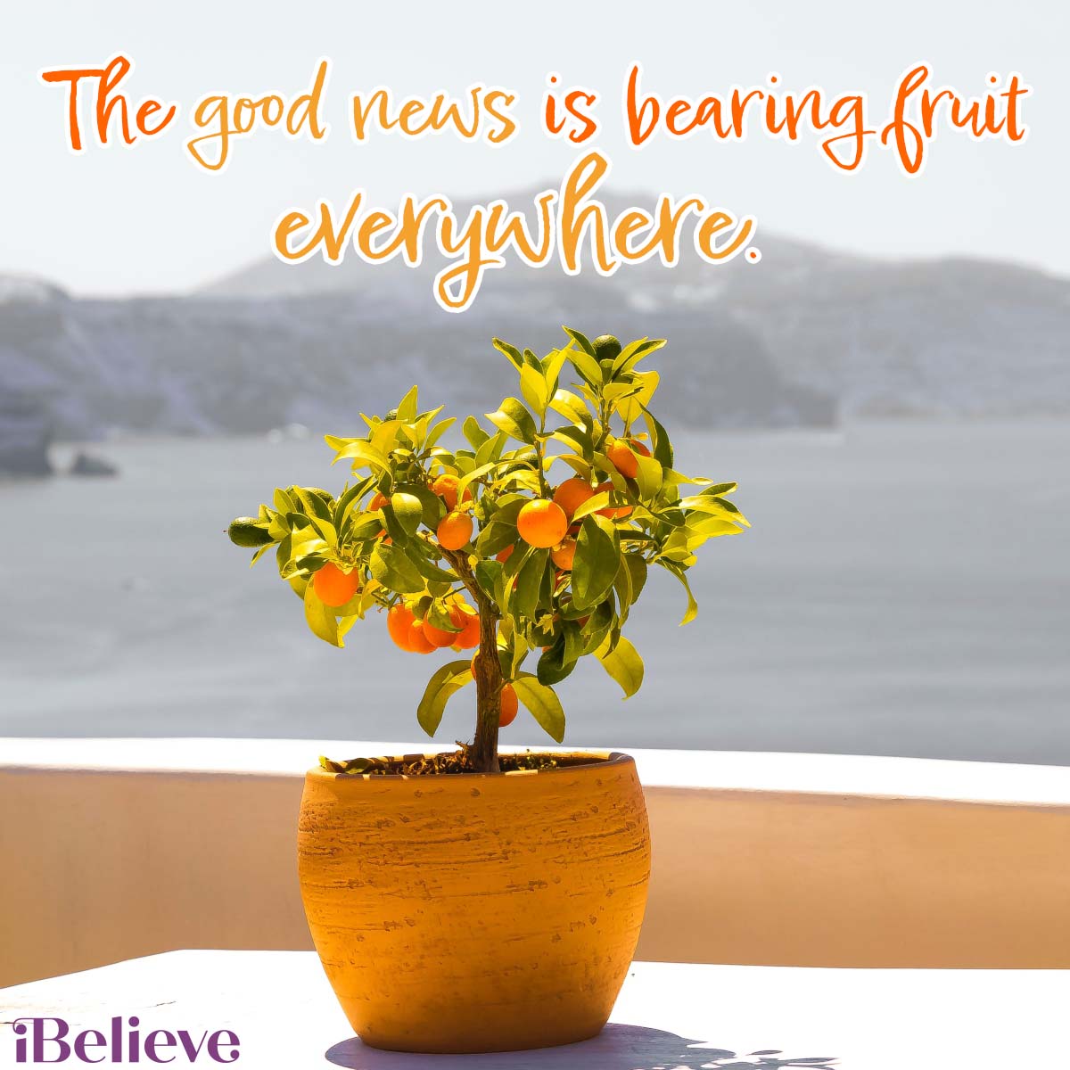 good news is bearing fruit everywhere, inspirational image