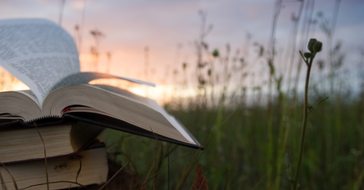 open book in field