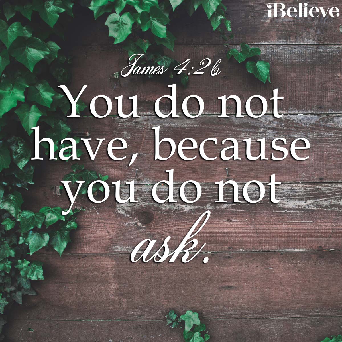 James 4:2, inspirational image