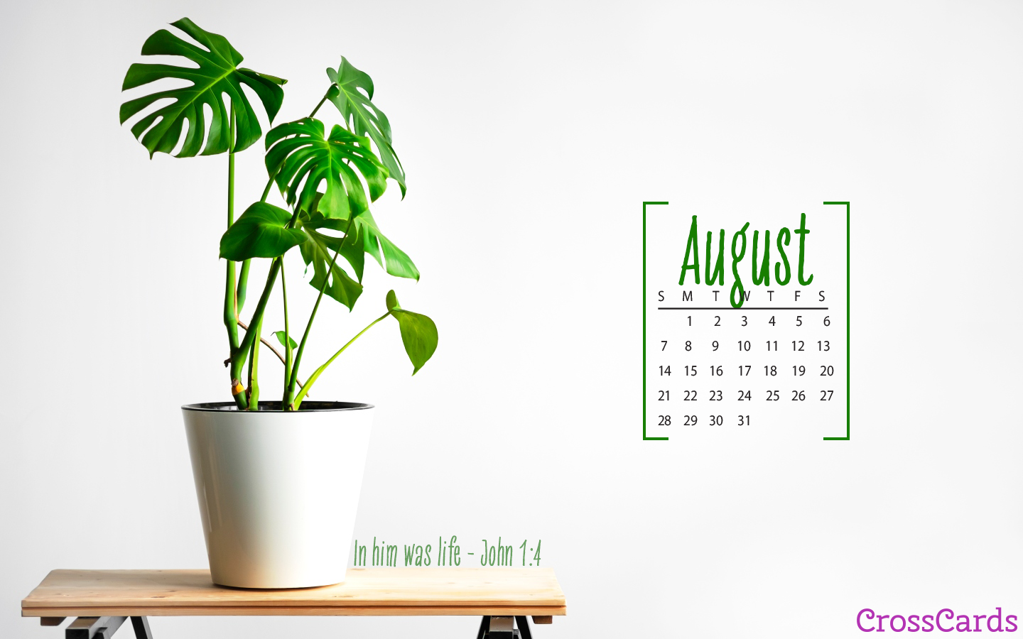 August 2022 - Monstera Plant mobile phone wallpaper