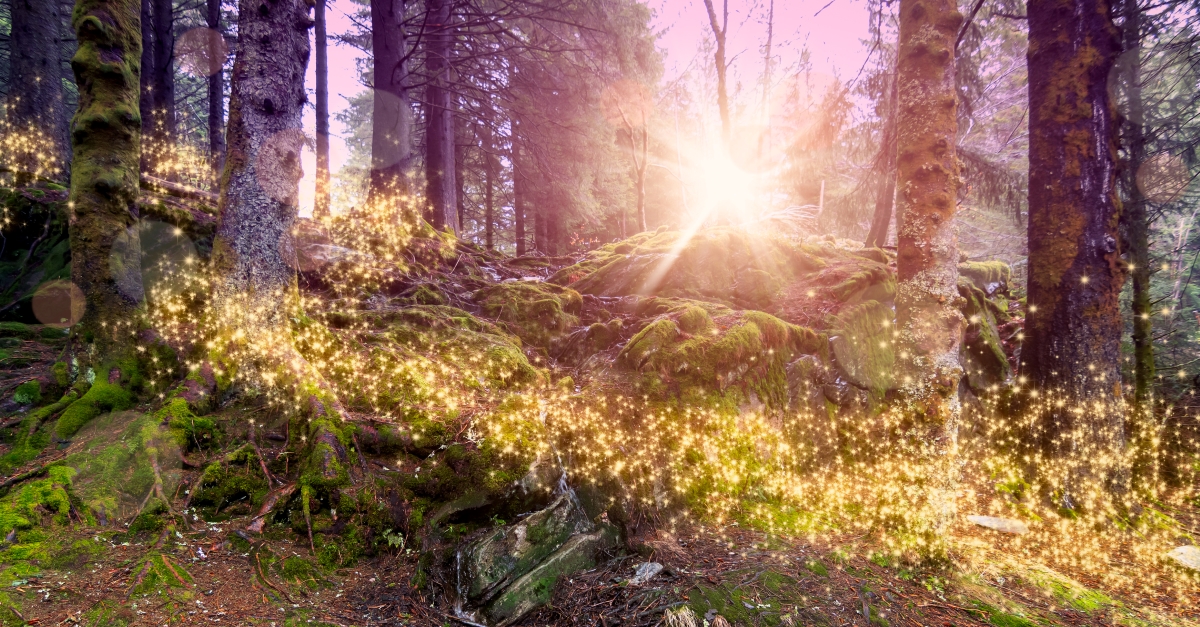 fairy forest, jrr tolkien smith of wootton major