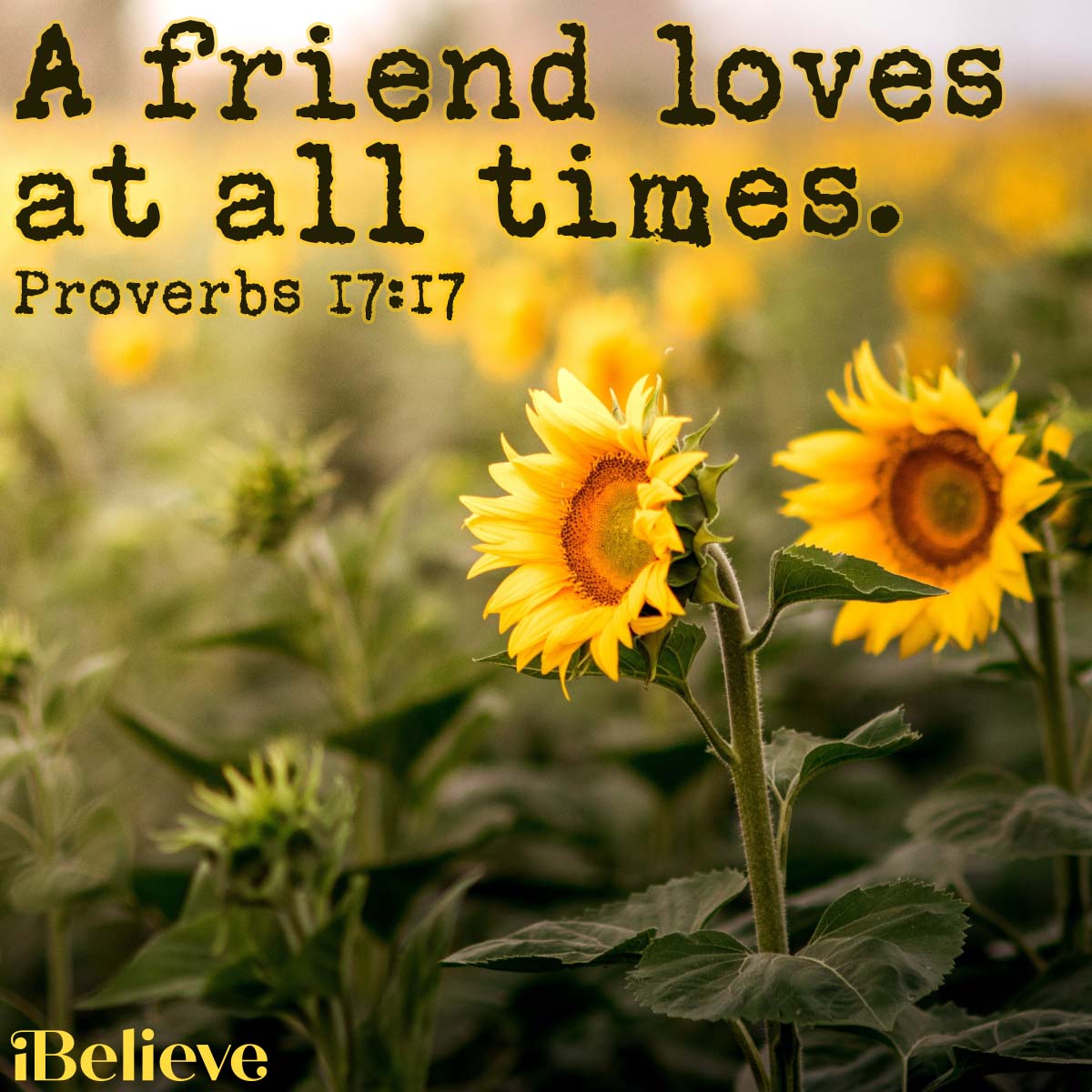 Proverbs 17:17, inspirational image