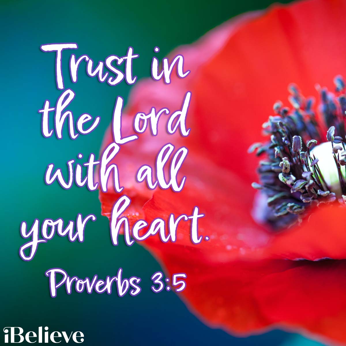 Proverbs 3:5, inspirational image