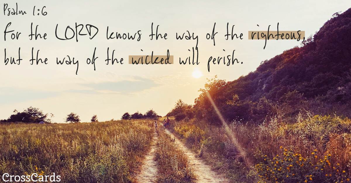 Psalm 1:6 - The Way of the Righteous ecard, online card