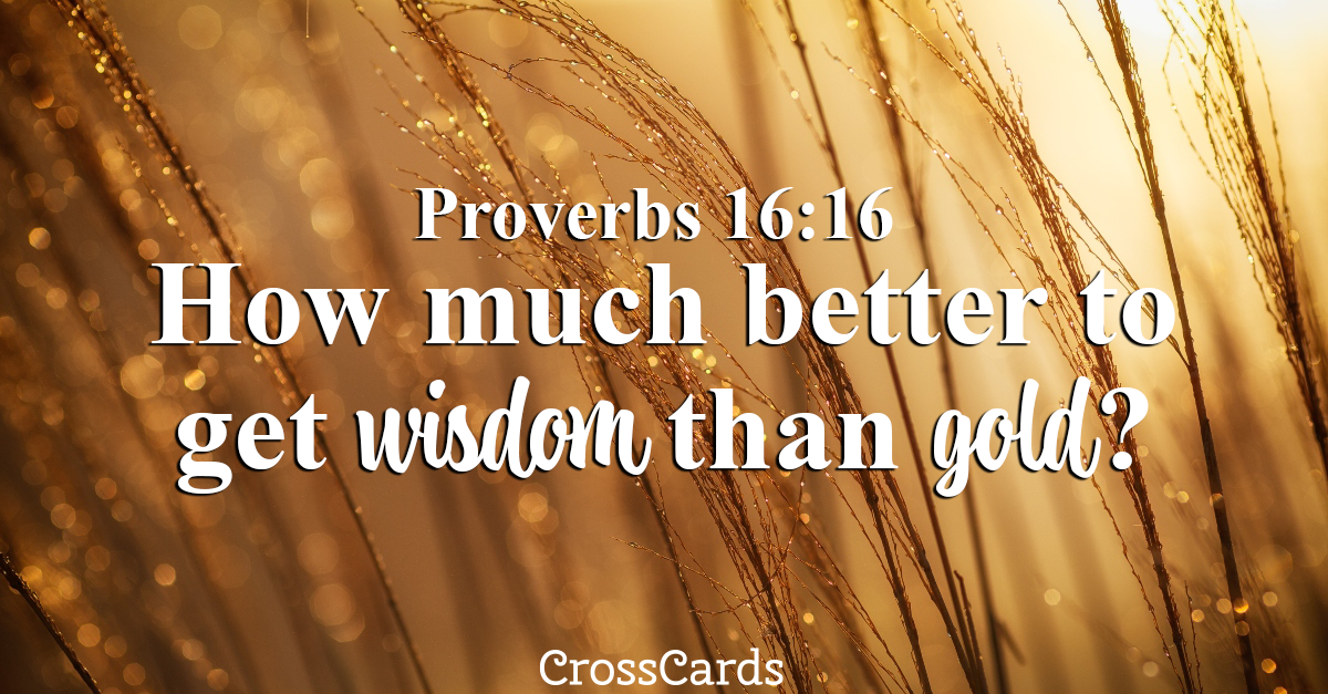 Proverbs 16:16 - Wisdom