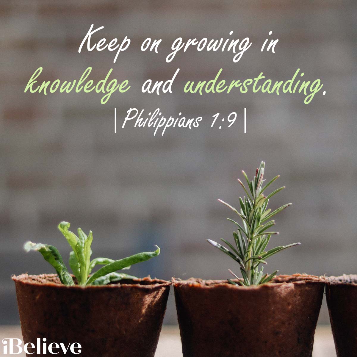 Phil. 1:9, inspirational image