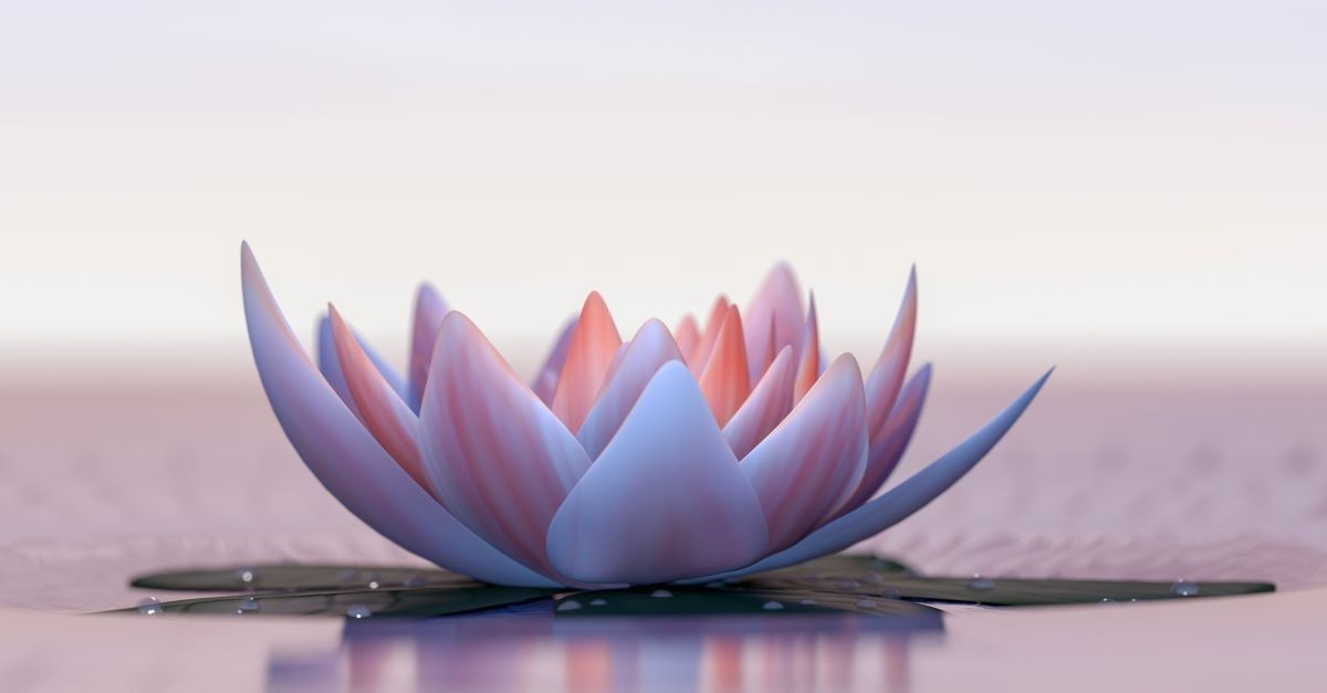 What Is the Lotus Flower's Meaning in Christianity?